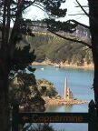 360 Kawau Island Coppermine Through Trees.JPG (57 KB)